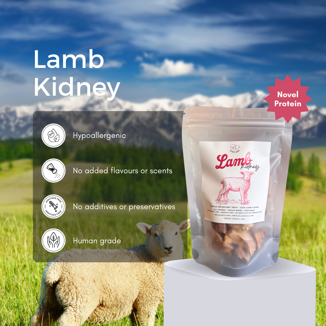 Freeze-dried Lamb Kidney