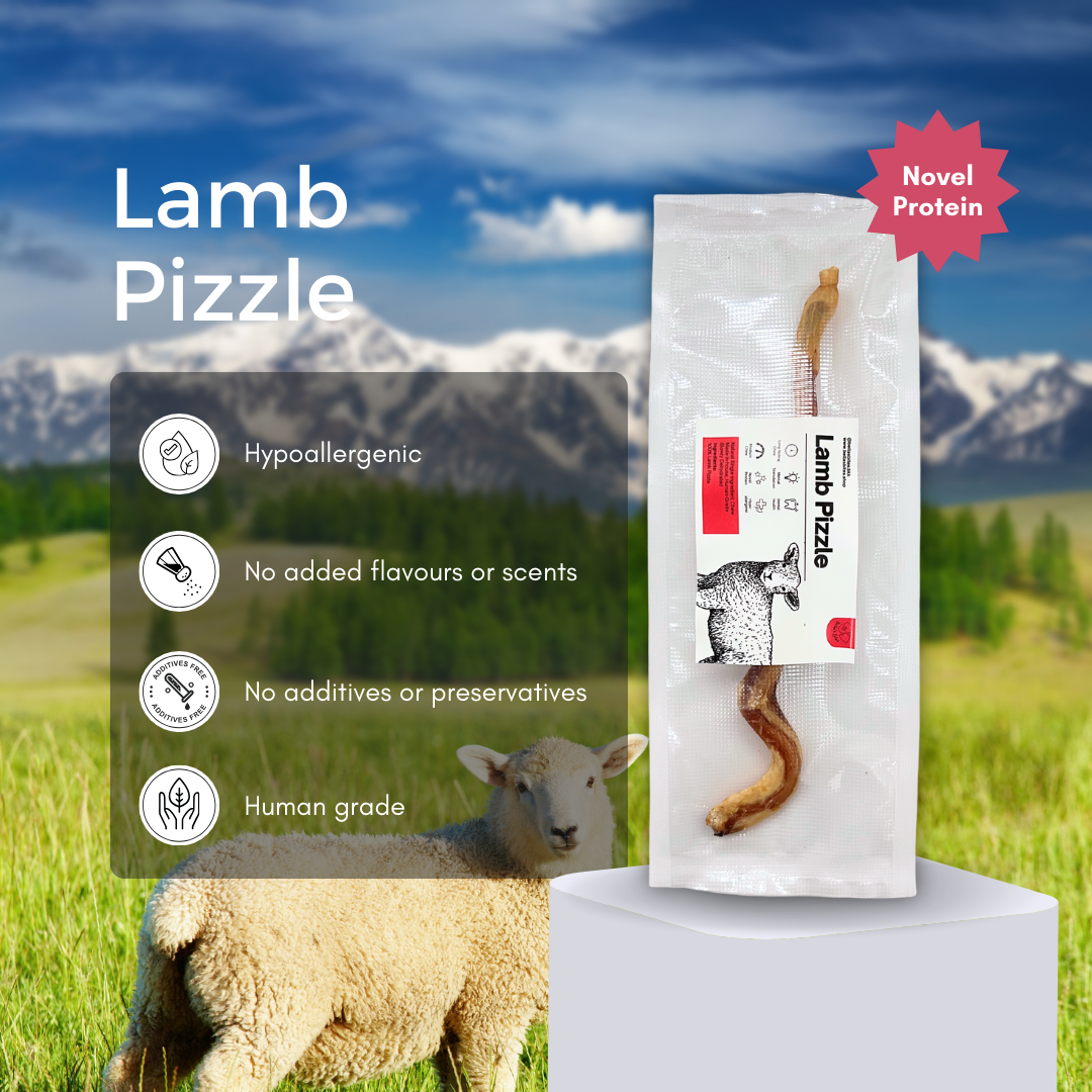 Air-dried Lamb Pizzle