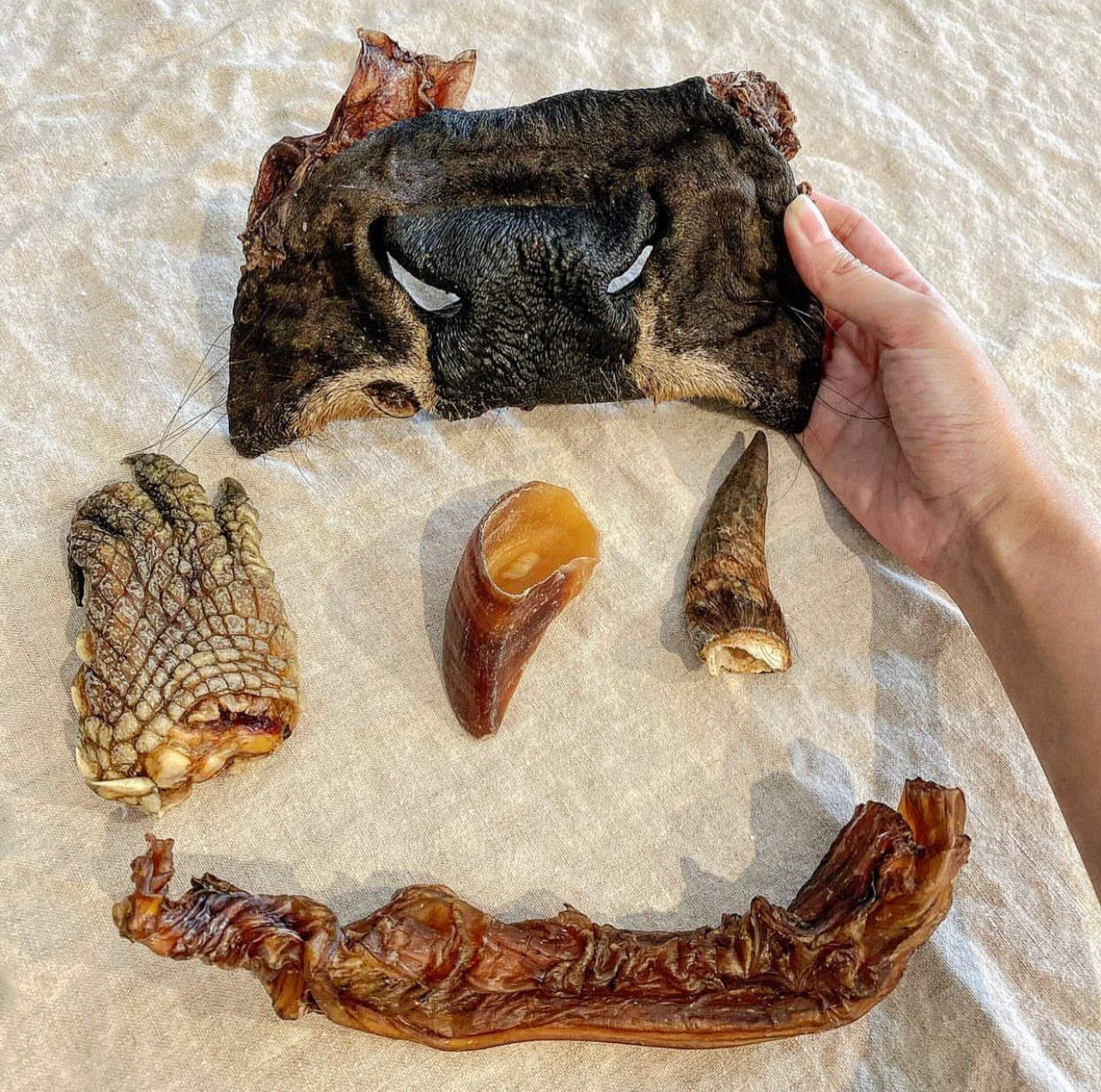 Beef Snout