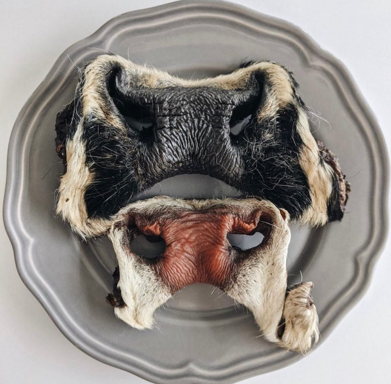 Beef Snout