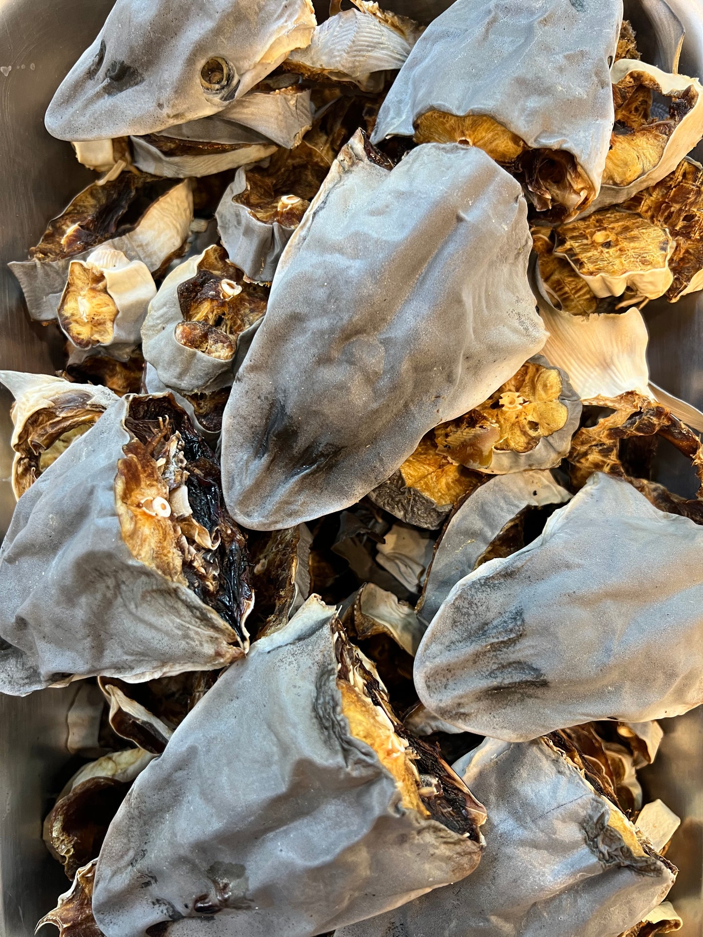 Shark Jerky