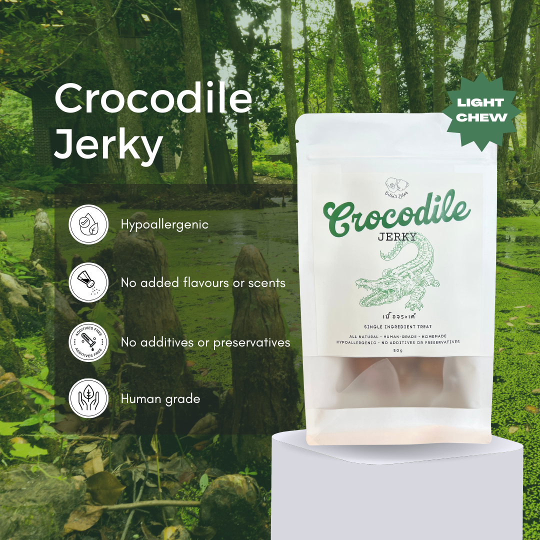 Air-Dried Crocodile Jerky