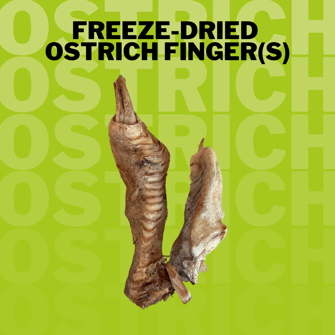 Freeze-Dried Ostrich Finger(s)