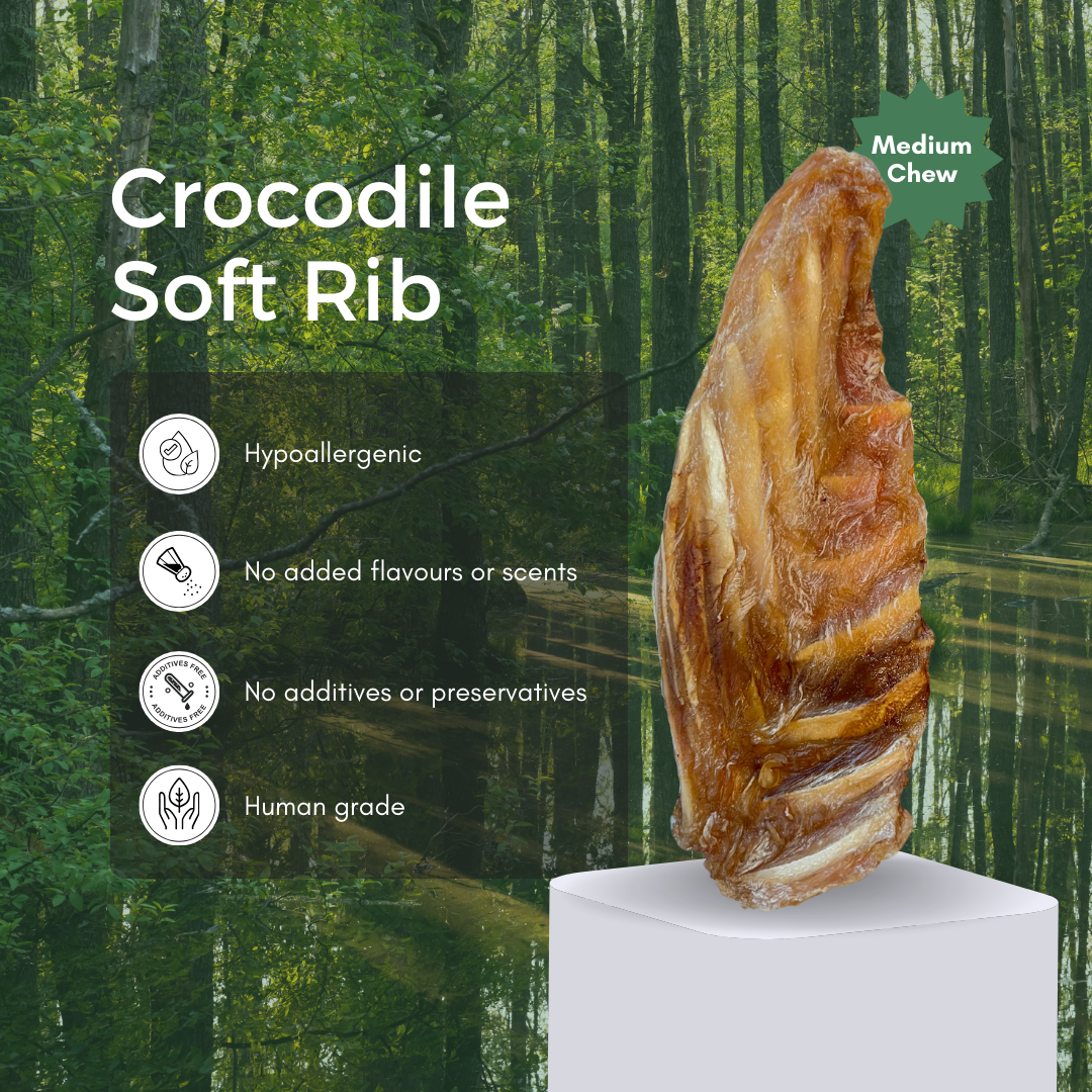 Crocodile Soft Ribs