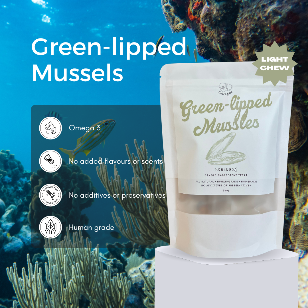 Freeze-Dried New Zealand Green-lipped Mussels