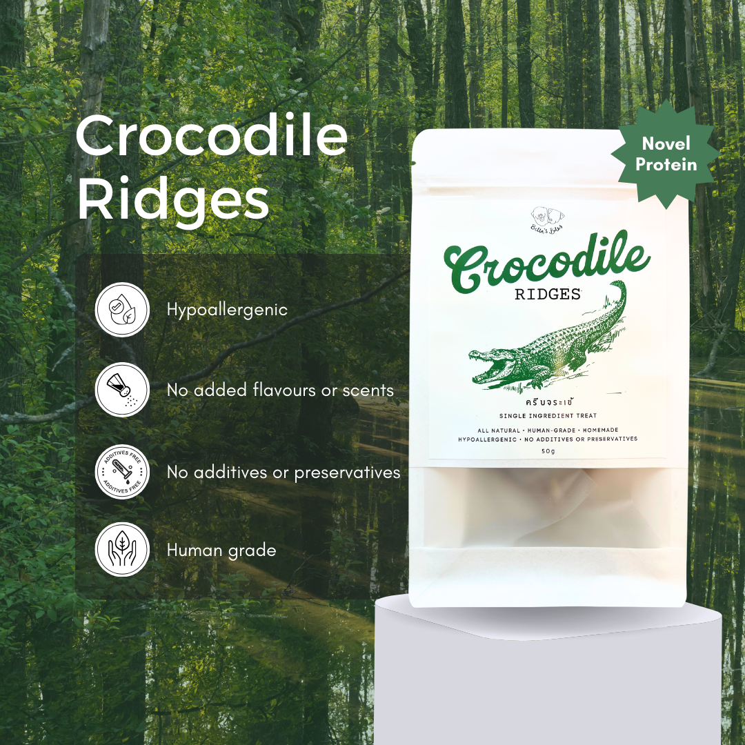 Crocodile Ridges