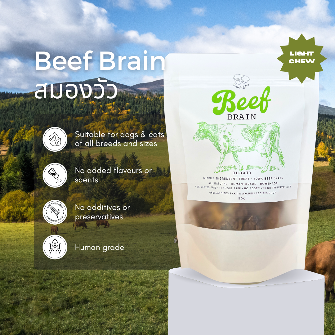 Beef Brain Chips