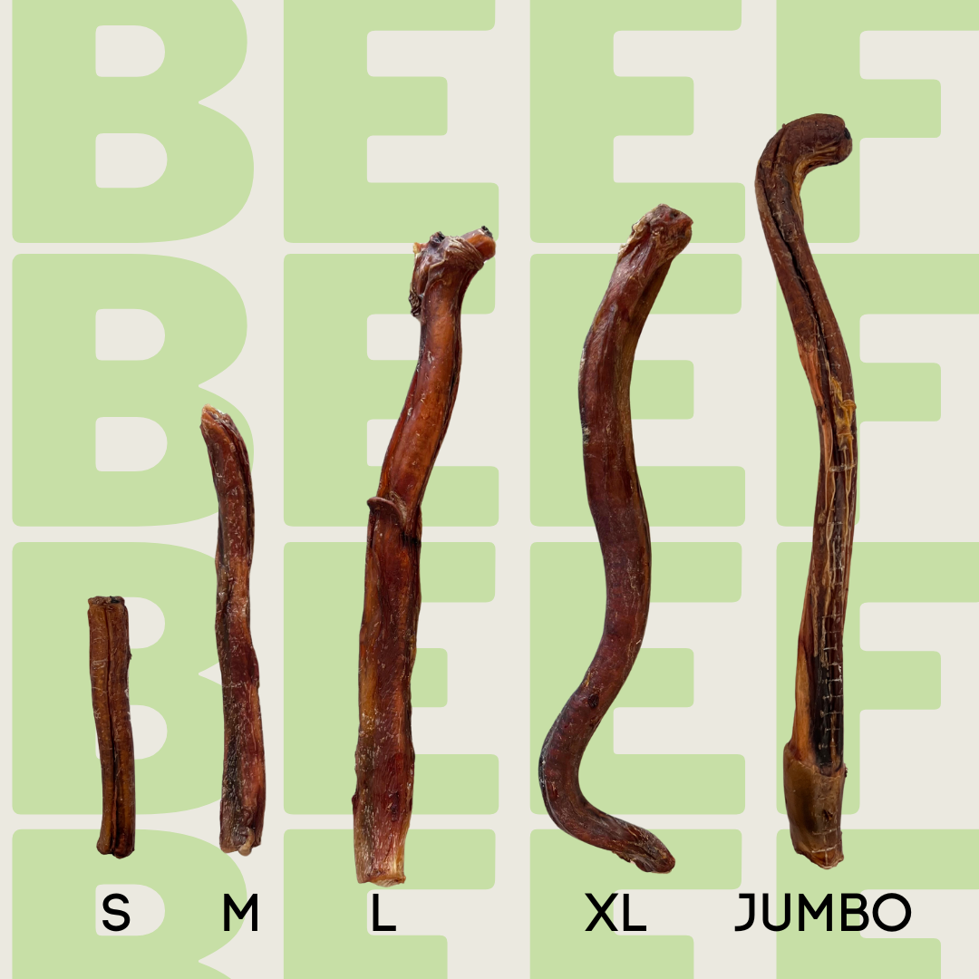 Bully Stick