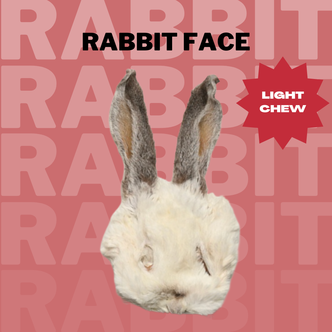 Rabbit Face