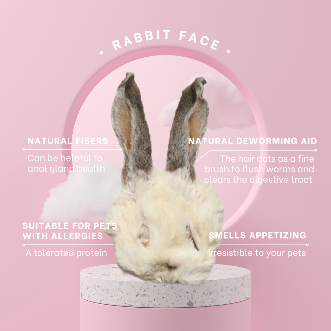 Rabbit Face