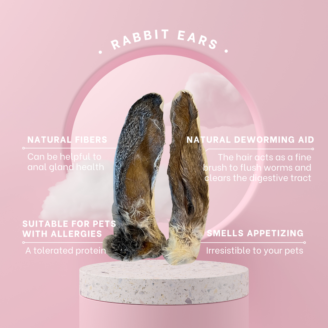 Rabbit Ears