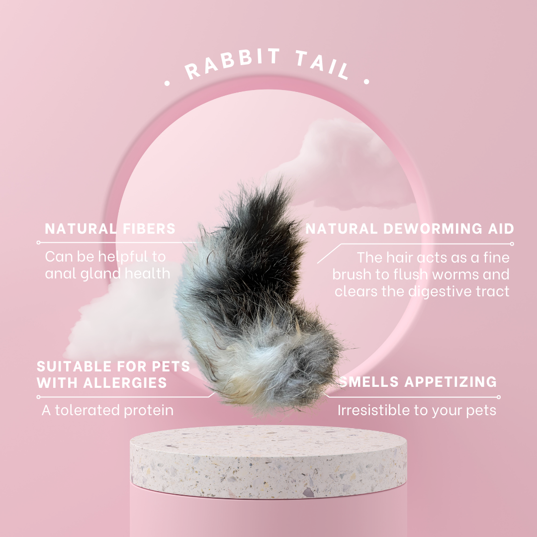 Rabbit Tails