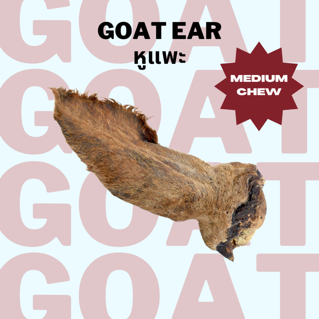 Goat Ear