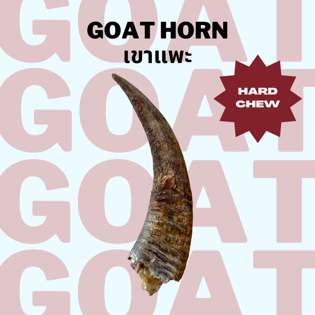Goat Horns