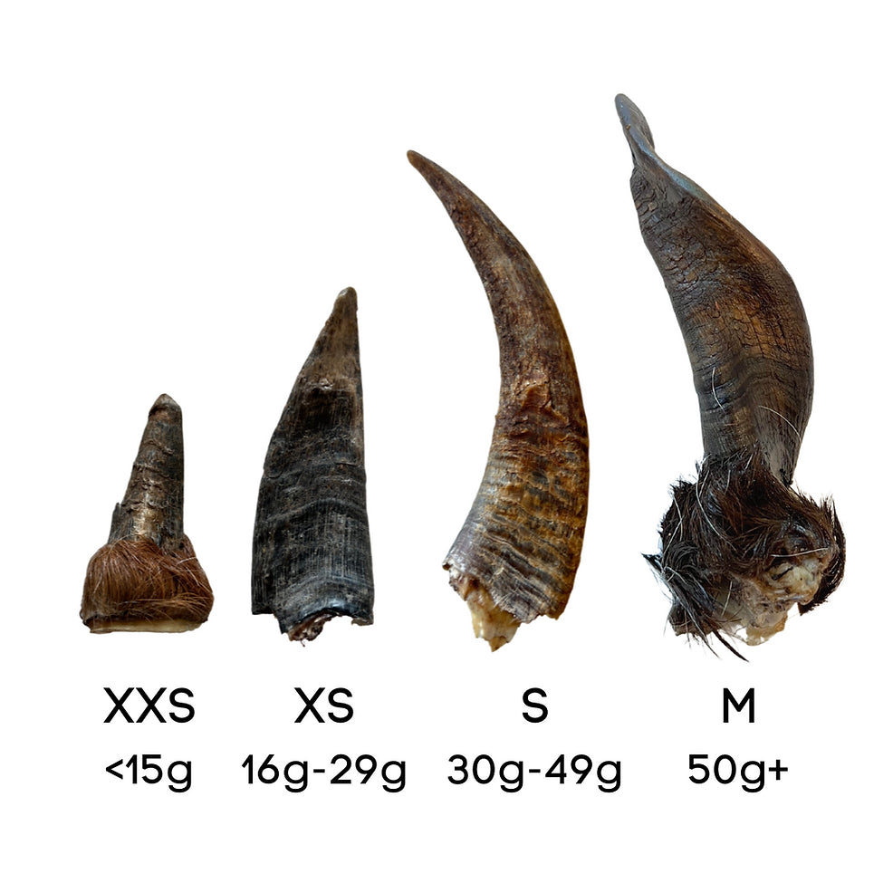 Goat Horns