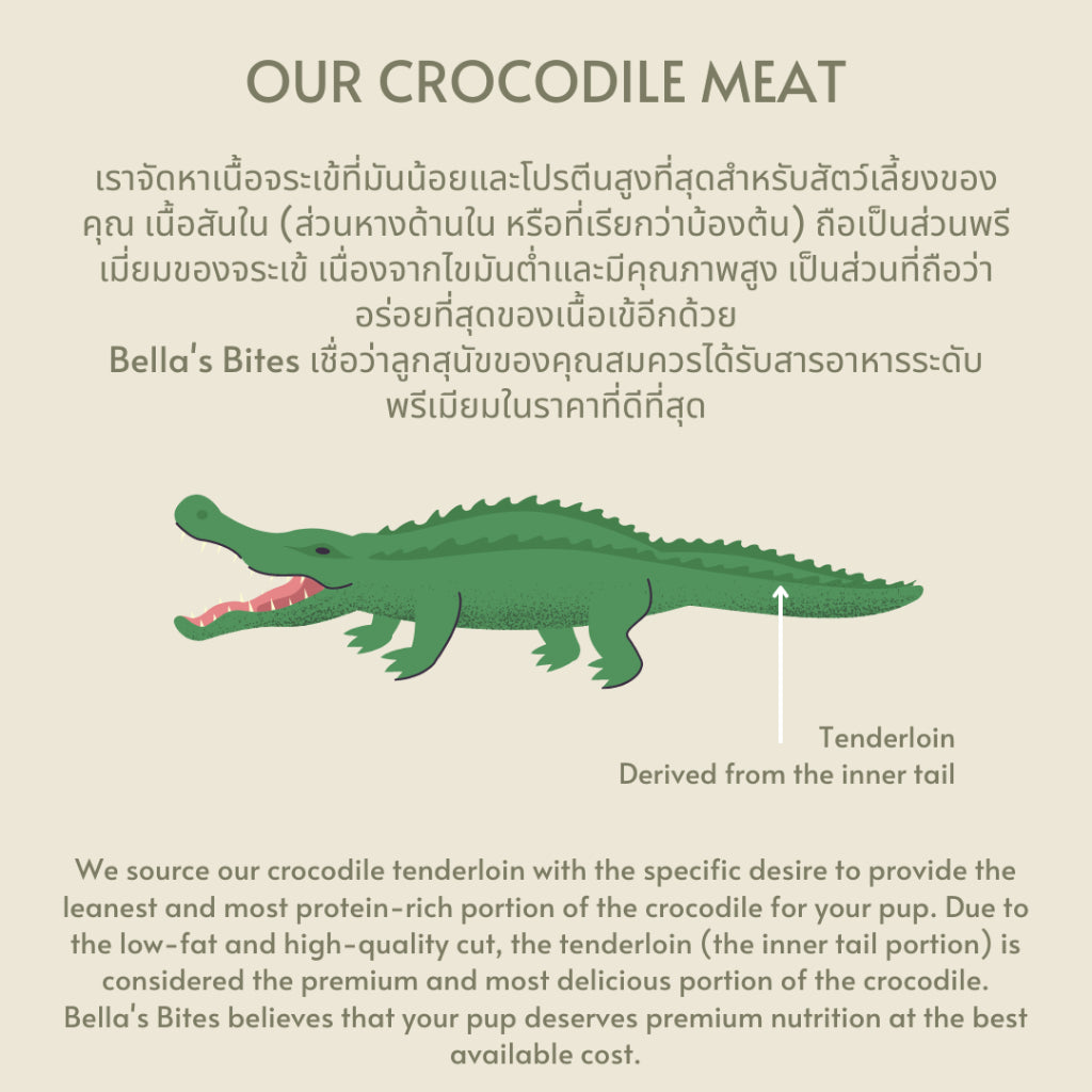 Air-Dried Crocodile Jerky