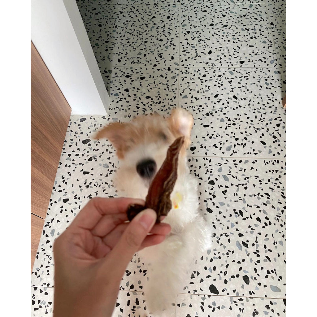 Air-dried Venison Jerky
