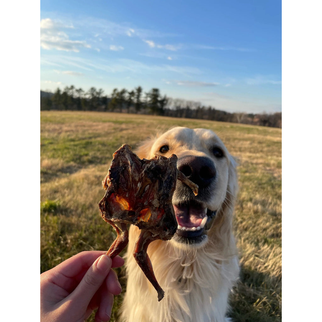 Whole Quail