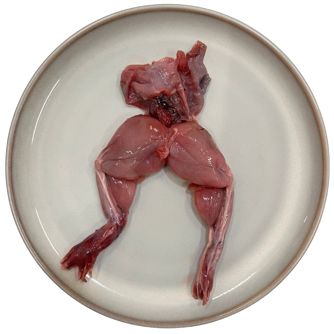 Raw Frog Legs
