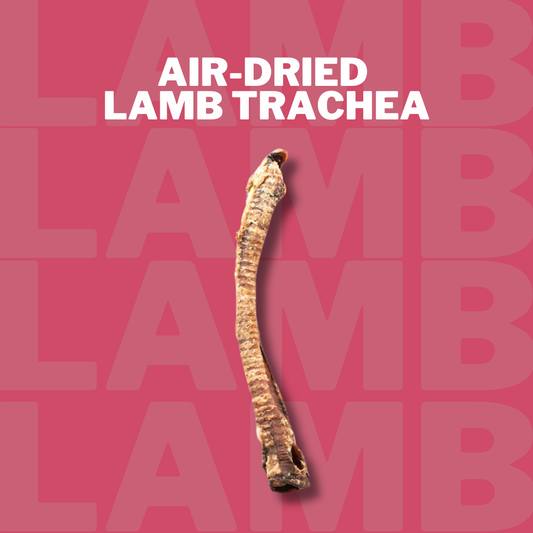 Air-dried Lamb Trachea