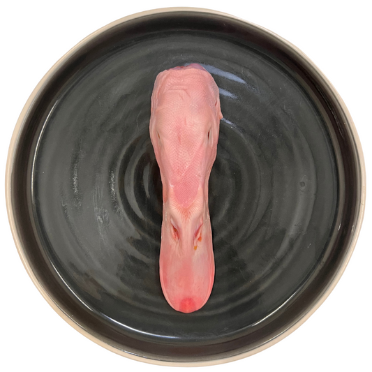Raw Duck Head