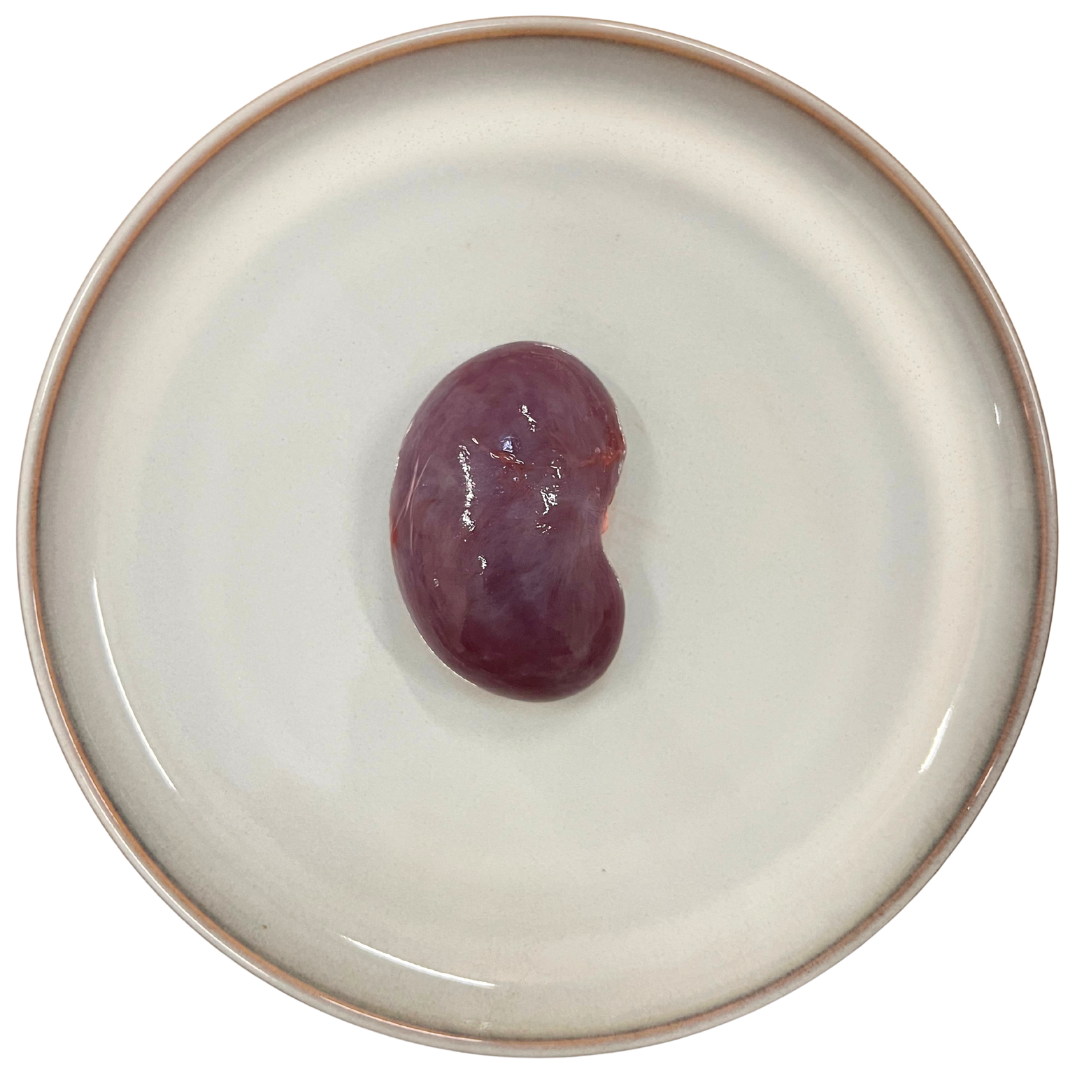 Raw Lamb Kidney