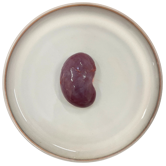 Raw Lamb Kidney