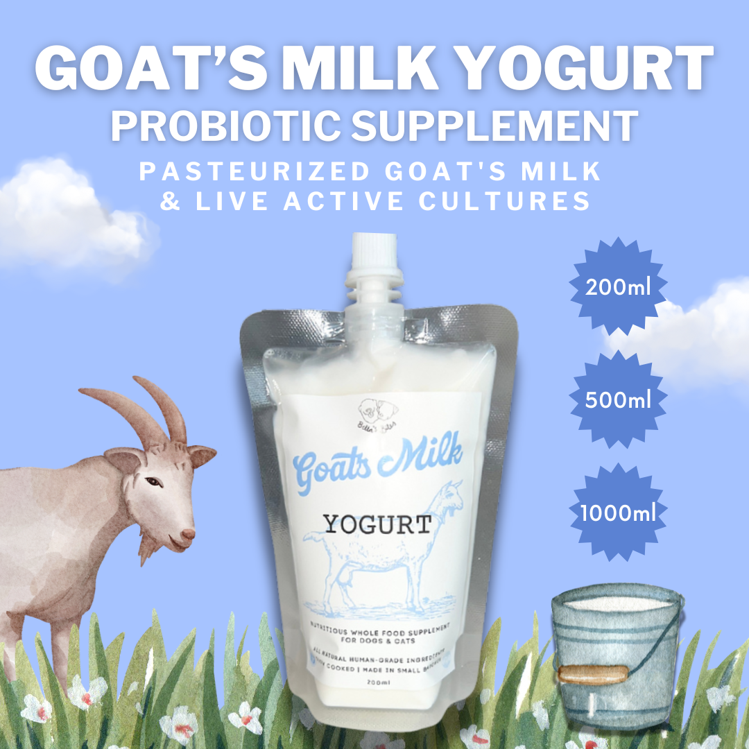 Goat's Milk Yogurt