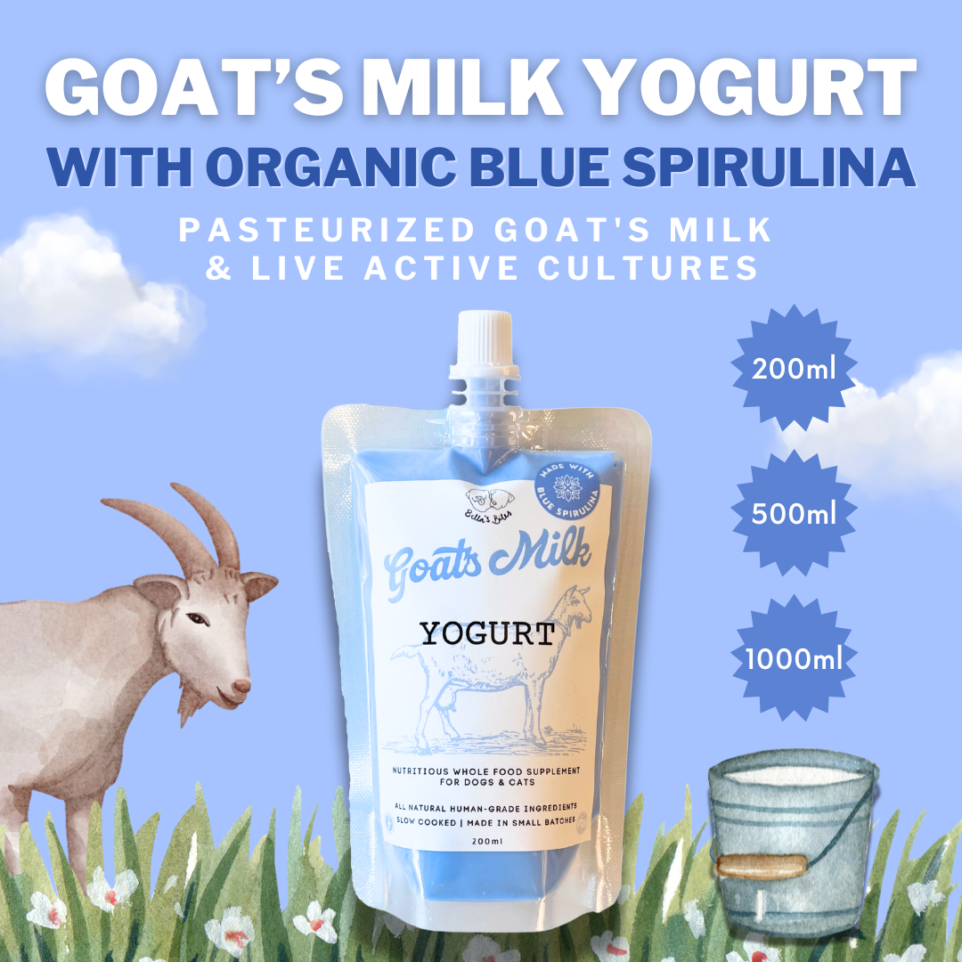 Goat's Milk Yogurt with Blue Spirulina