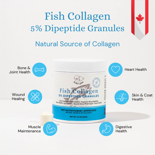 Fish Collagen