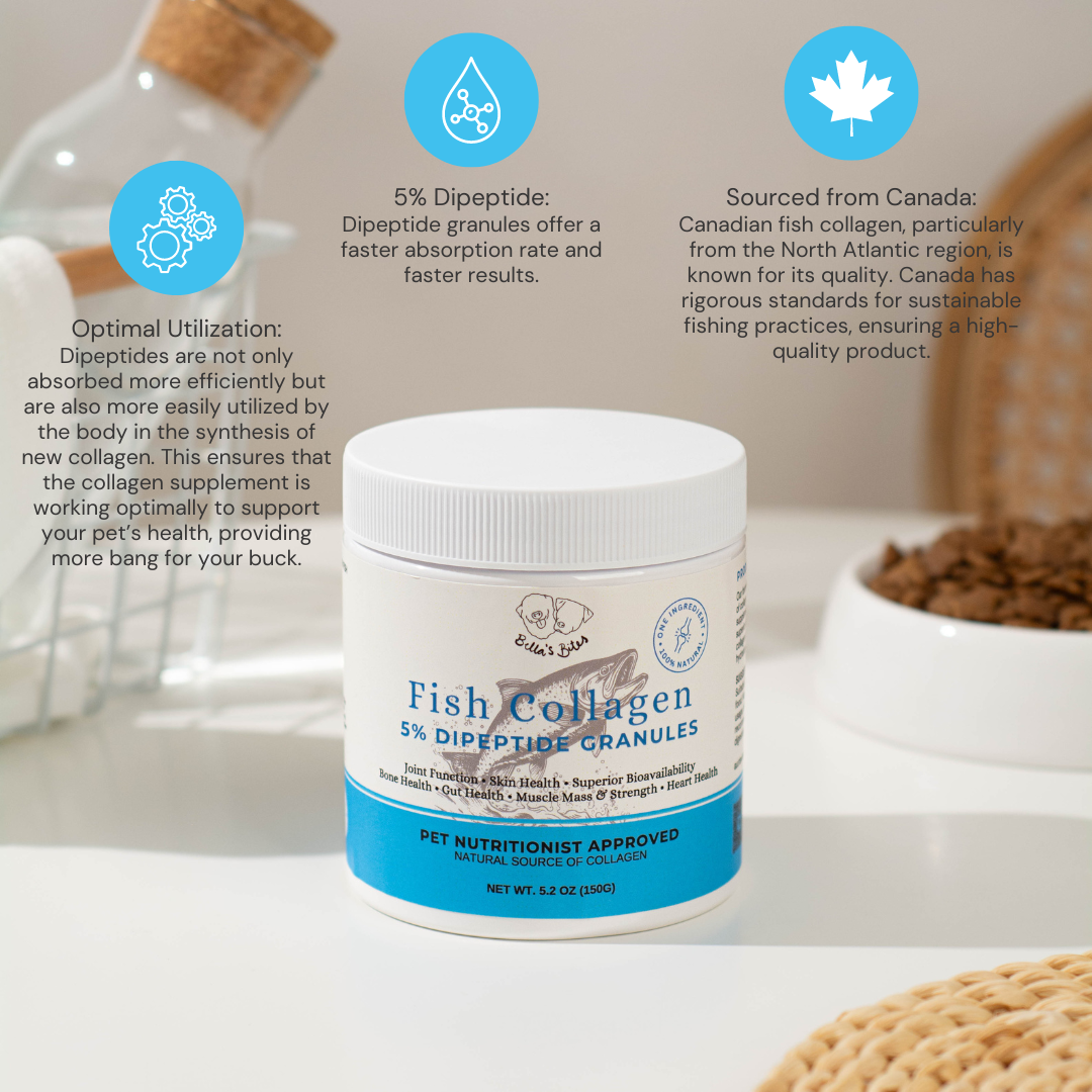 Fish Collagen