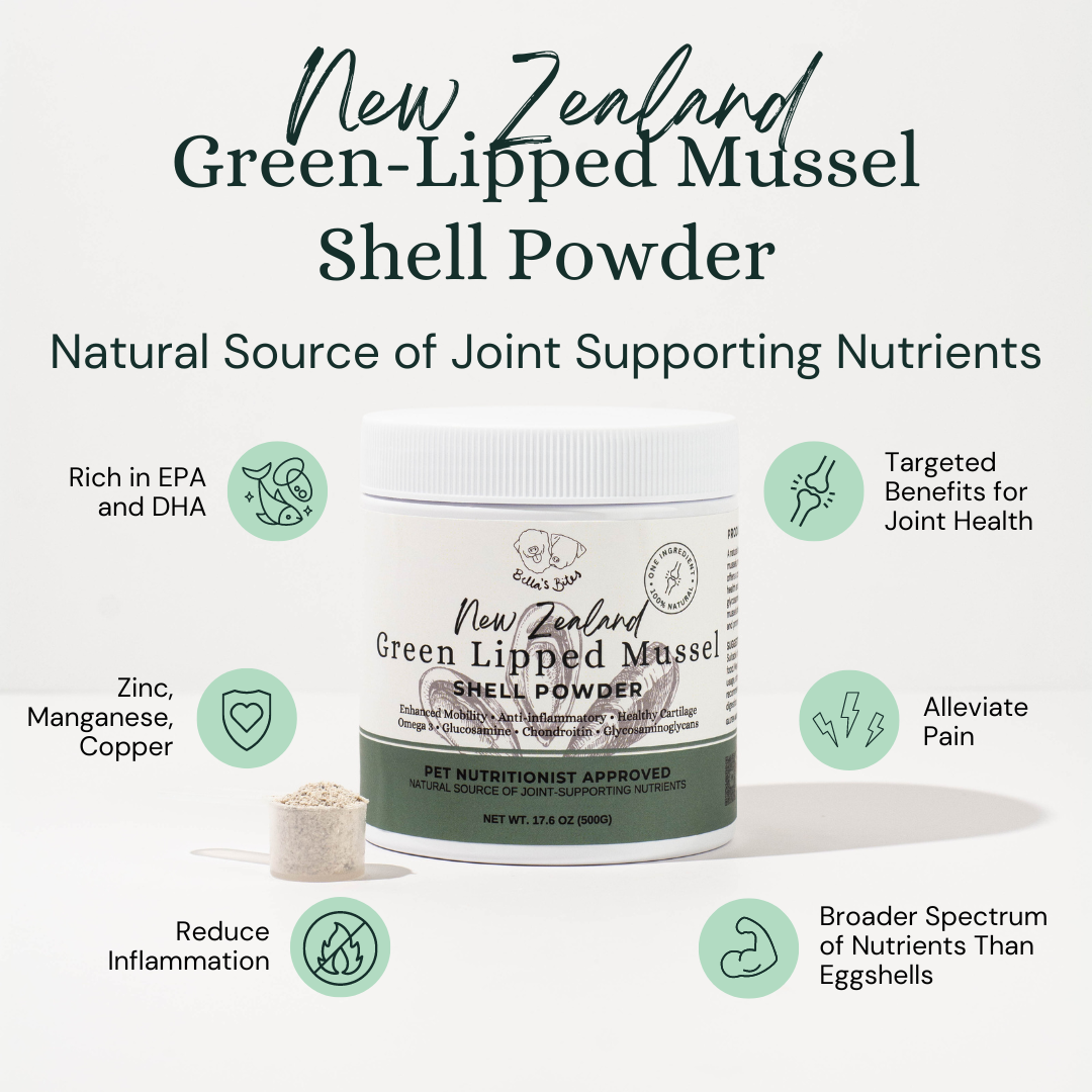 New Zealand Green-Lipped Mussel Shell Powder – Bella's Bites