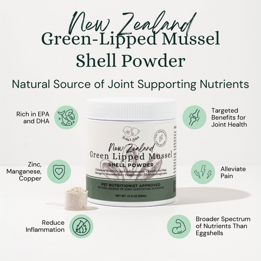 New Zealand Green-Lipped Mussel Shell Powder