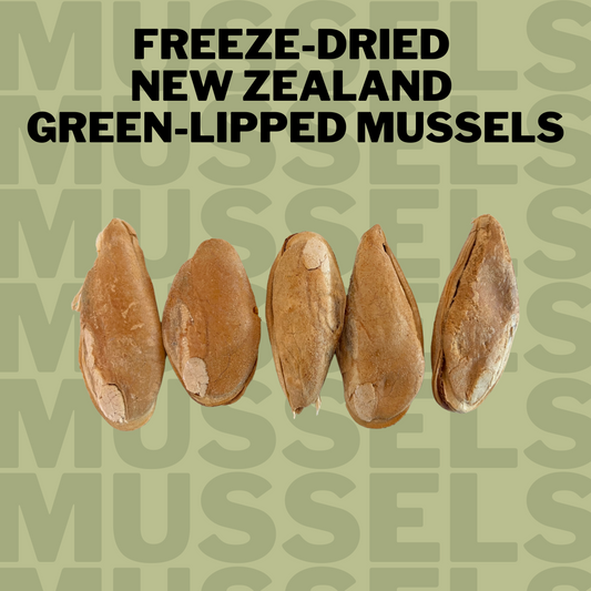 Freeze-Dried New Zealand Green-lipped Mussels