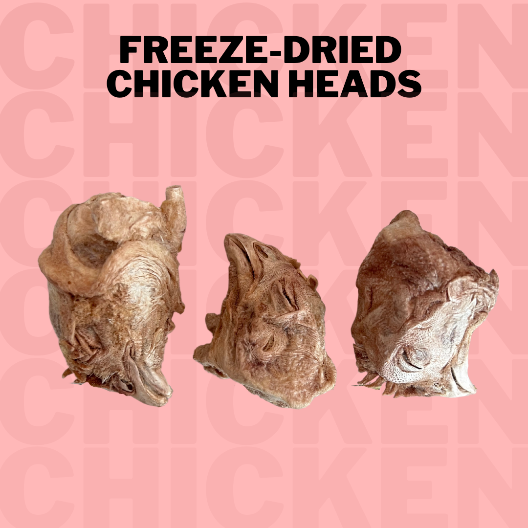 Freeze-Dried Chicken Heads