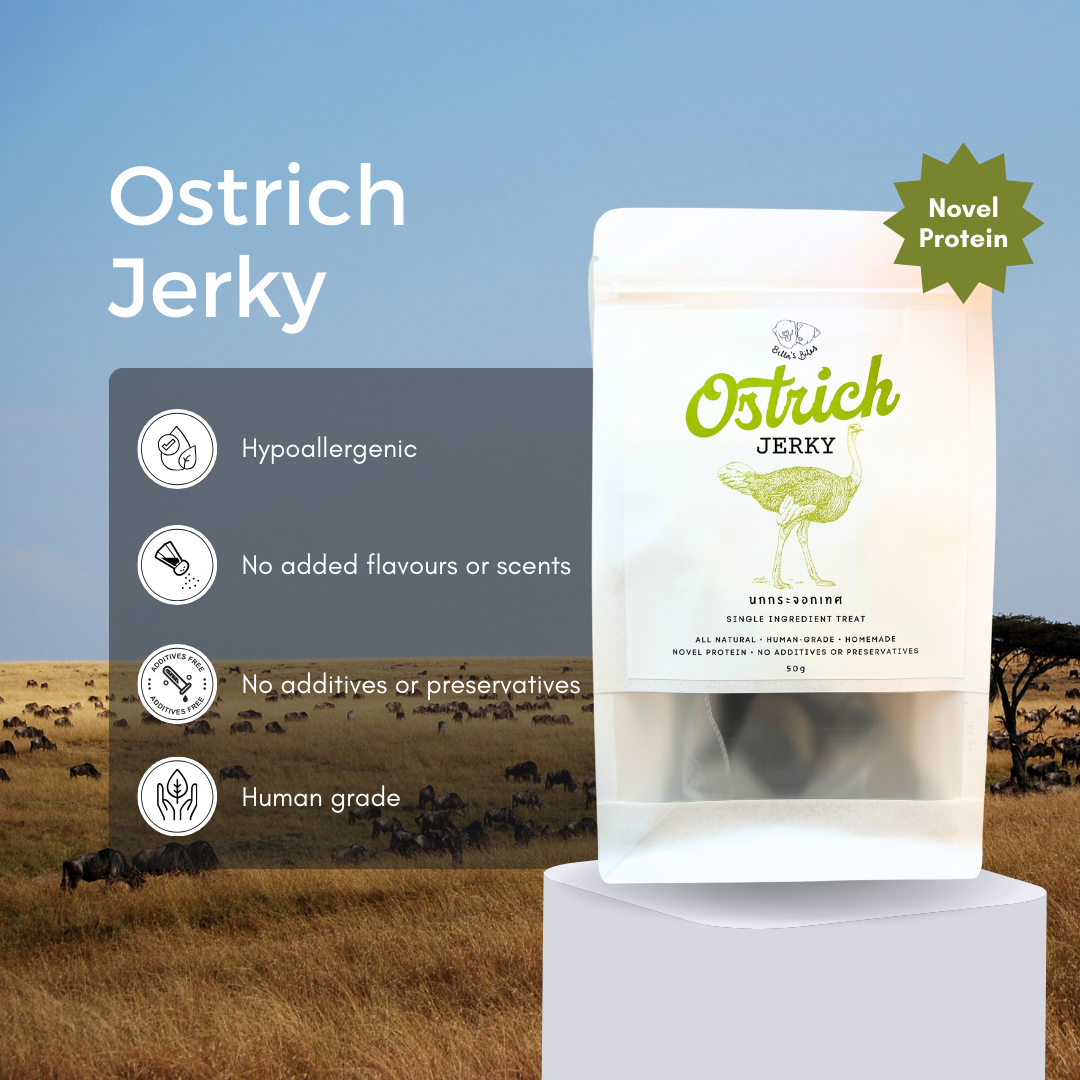 Ostrich Jerky