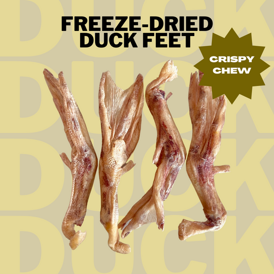 Freeze-Dried Duck Feet