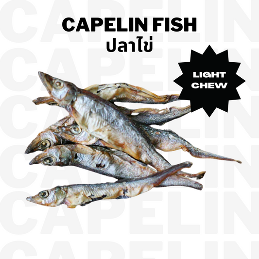 Capelin Fish