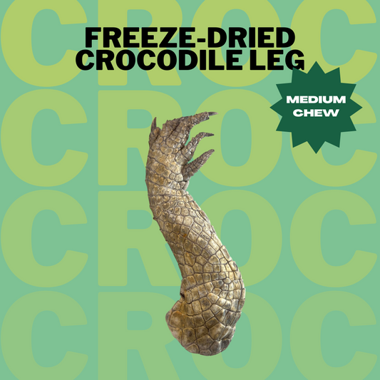 Freeze-dried Crocodile Leg