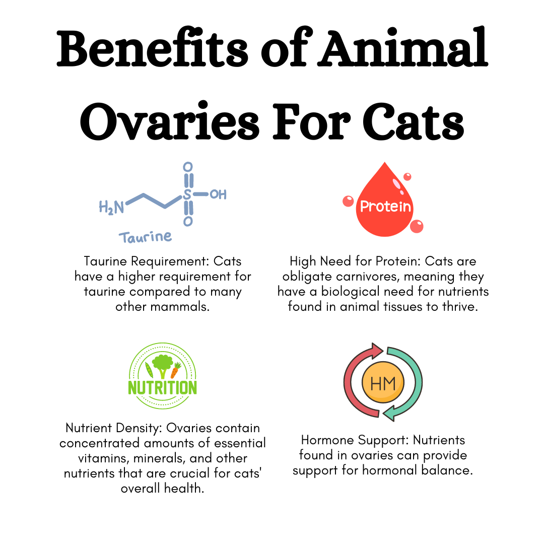 Freeze-Dried Chicken Ovaries