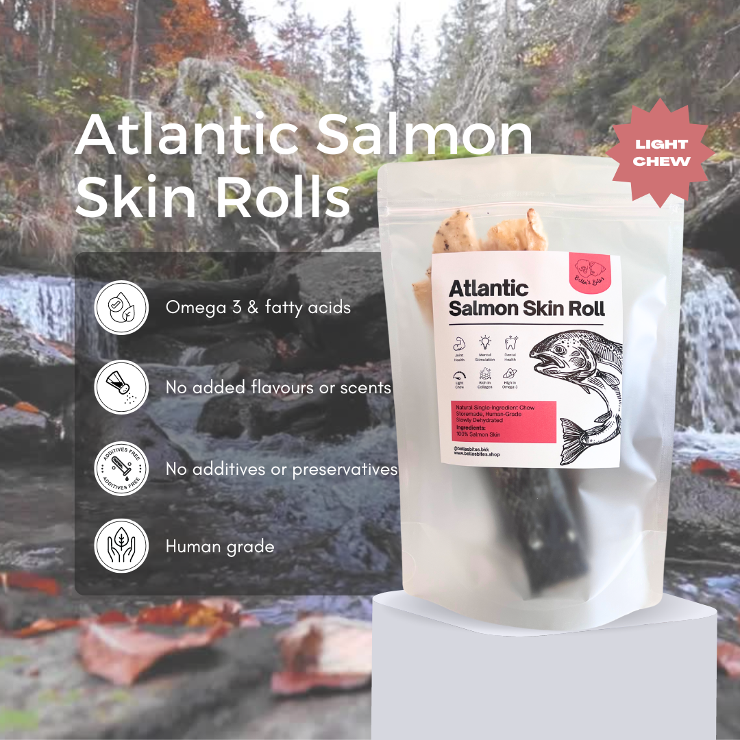 Air-Dried Atlantic Salmon Skin