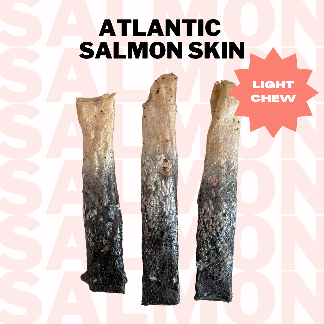 Air-Dried Atlantic Salmon Skin