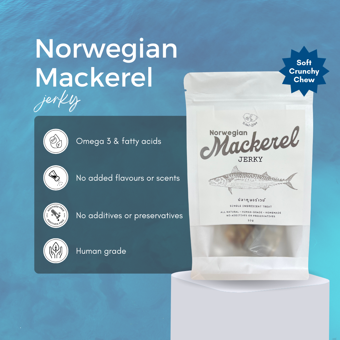 Norwegian Mackerel Jerky