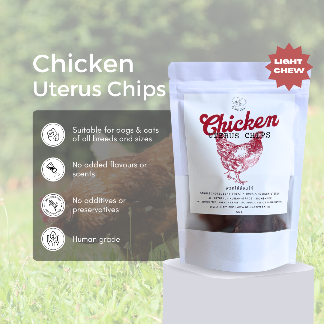 Chicken Uterus Chips