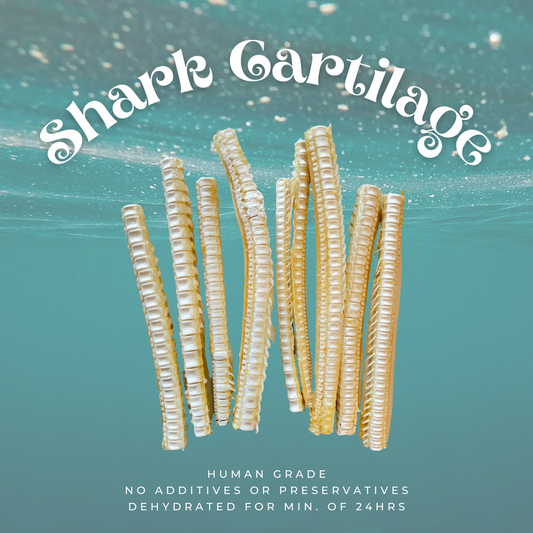 Shark Cartilage