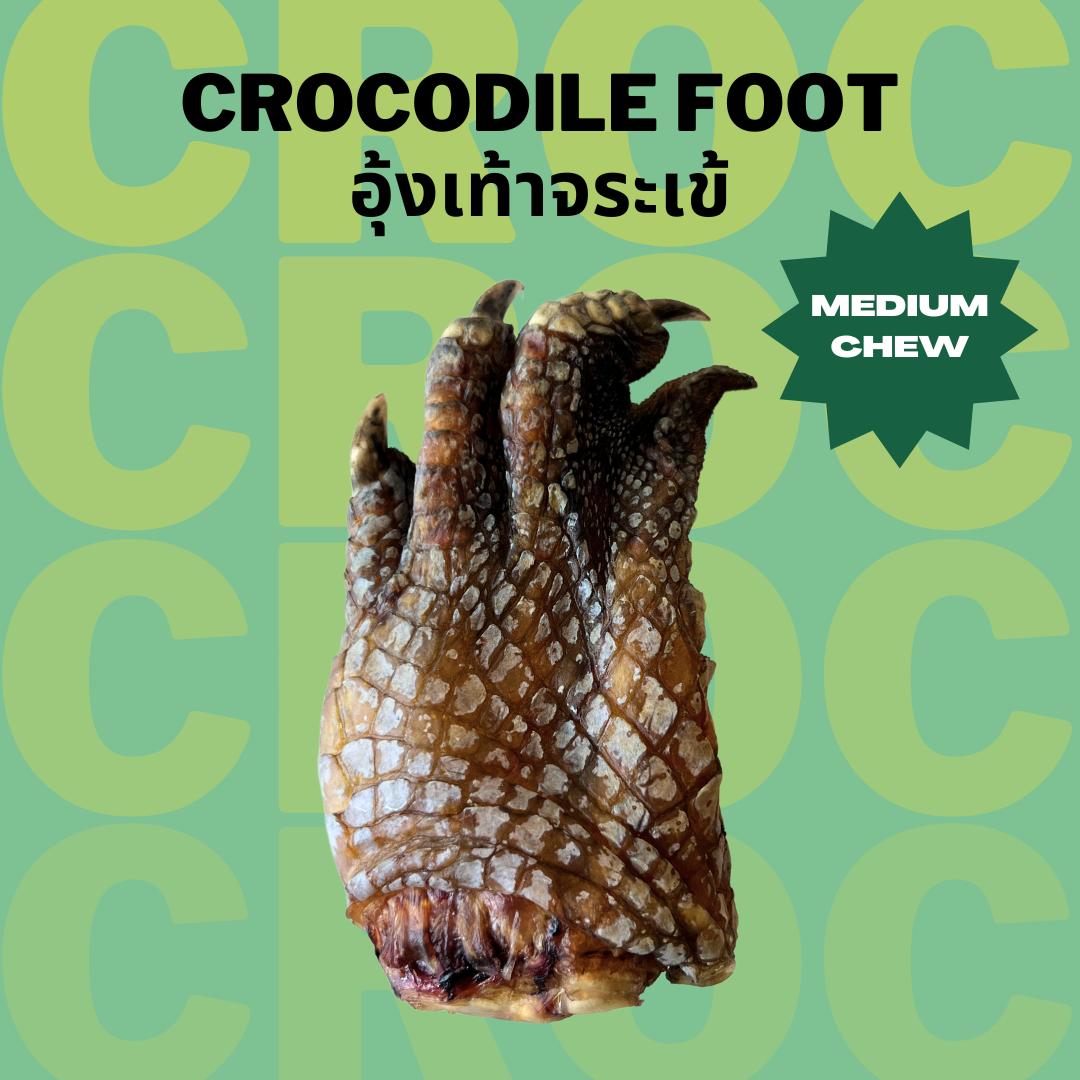 Crocodile Foot