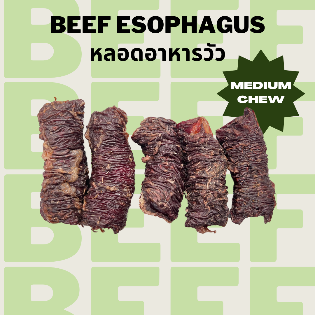 Beef Esophagus