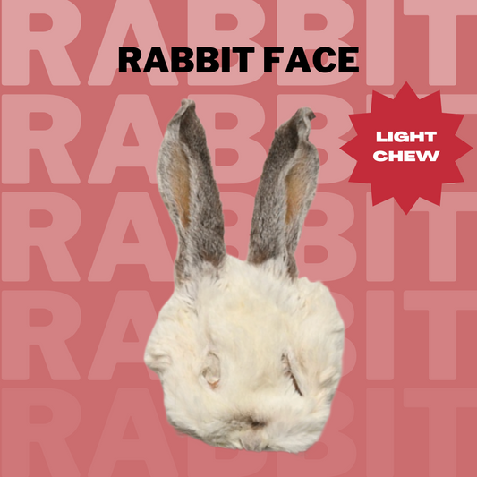 Rabbit Face