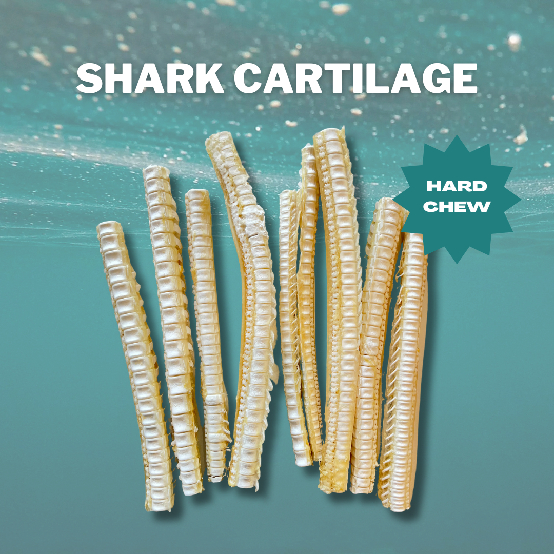 Shark Cartilage