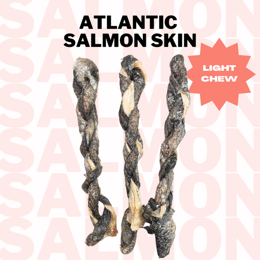 Air-Dried Atlantic Salmon Skin